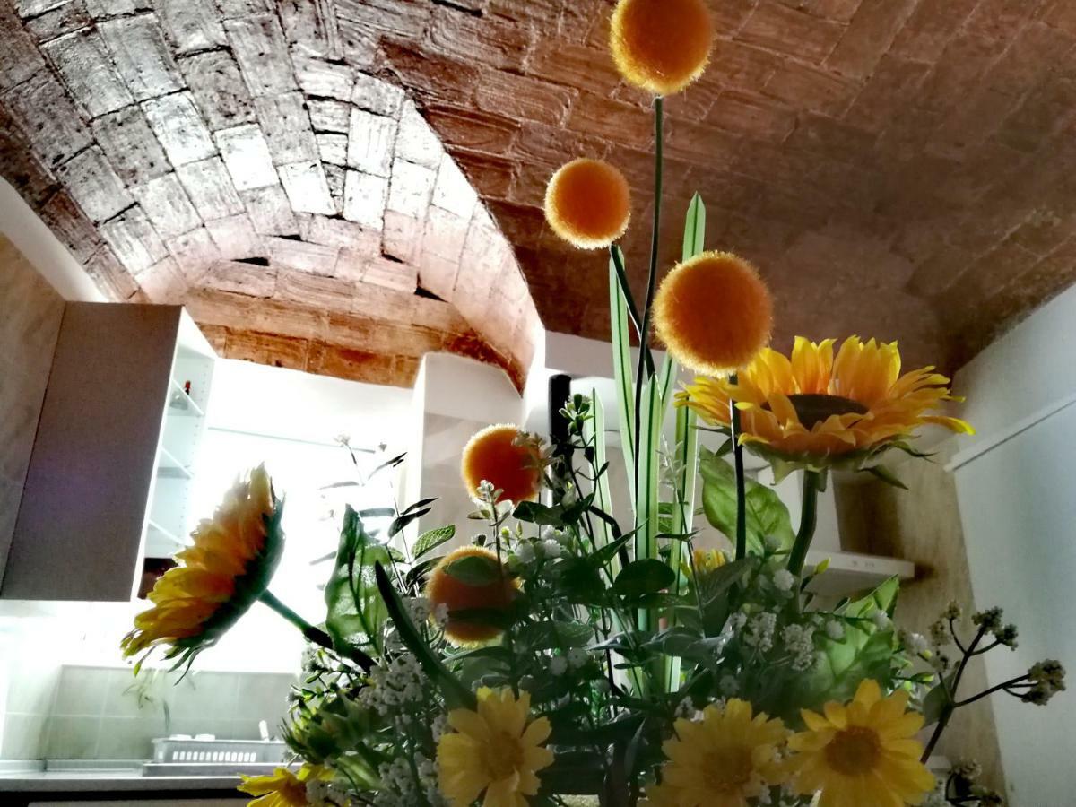 Casa Do Castelo 호텔 아라이오로스 외부 사진